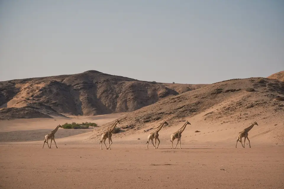 7-Twyfelfontein03.jpg