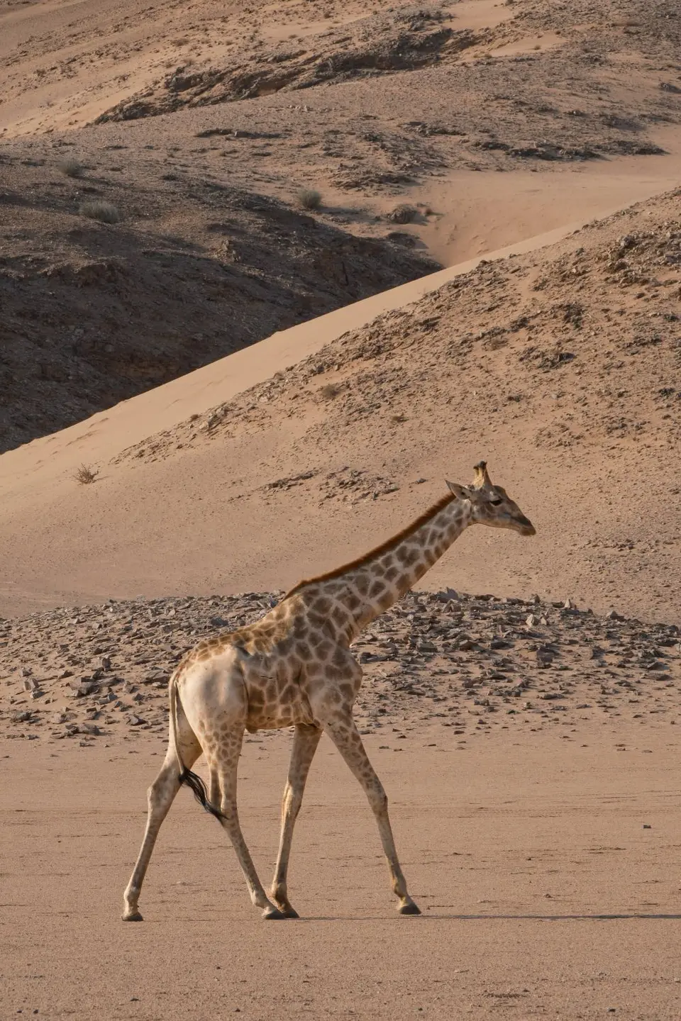 7-Twyfelfontein04.jpg