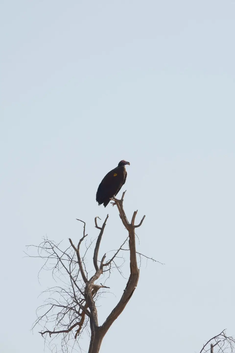 7-Twyfelfontein05.jpg