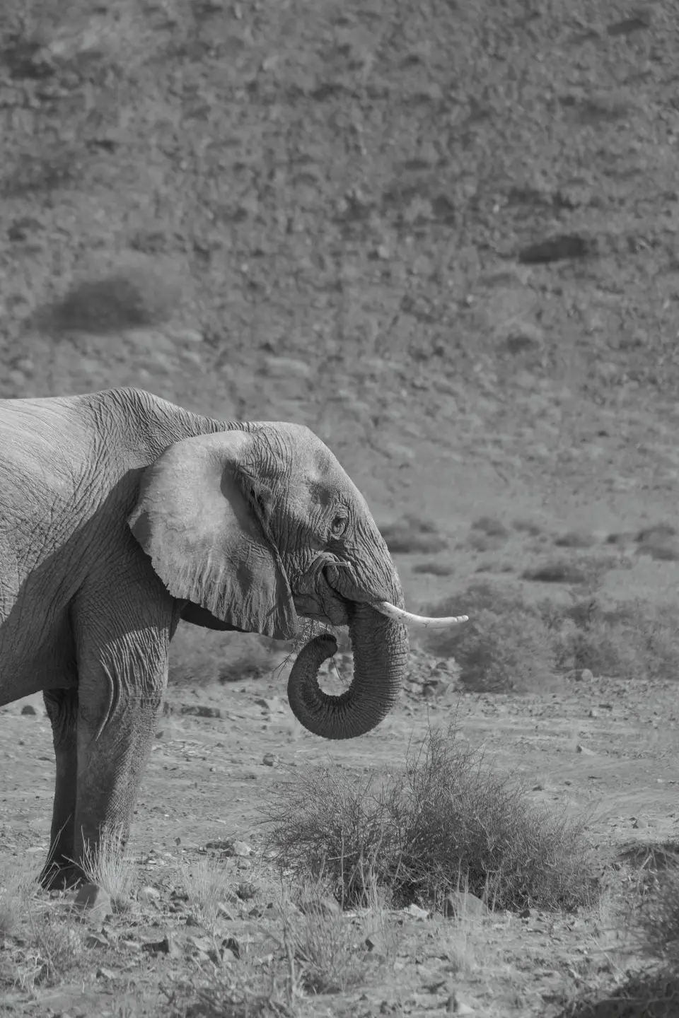 7-Twyfelfontein06.jpg