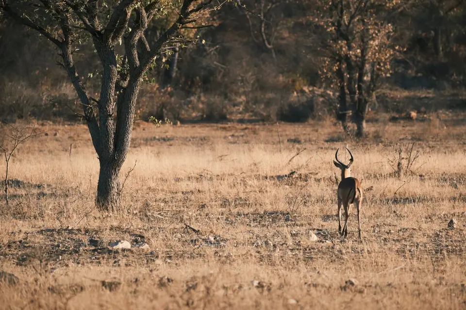 8-Sophienhof22.jpg