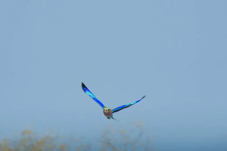 DSCF8488.jpg