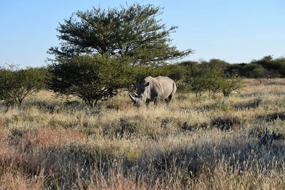Waterberg2.jpg