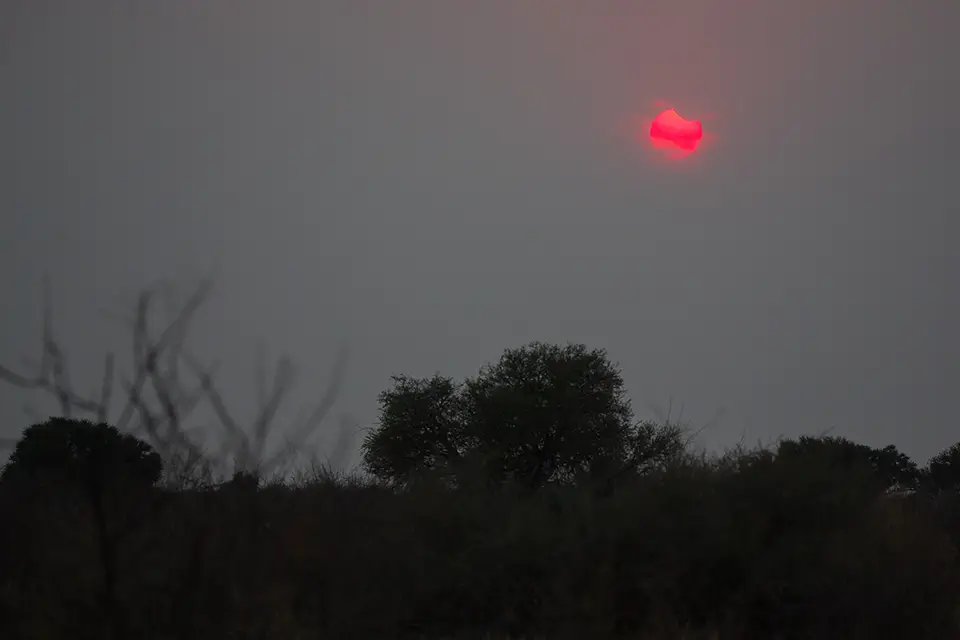 h0842dd8.jpg