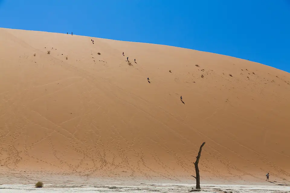 h3eab7ad.jpg