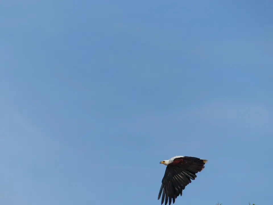h7e2c6b7_2016-02-08.JPG