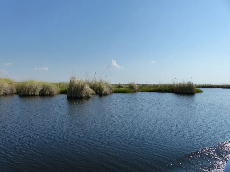 h95a0c04.JPG