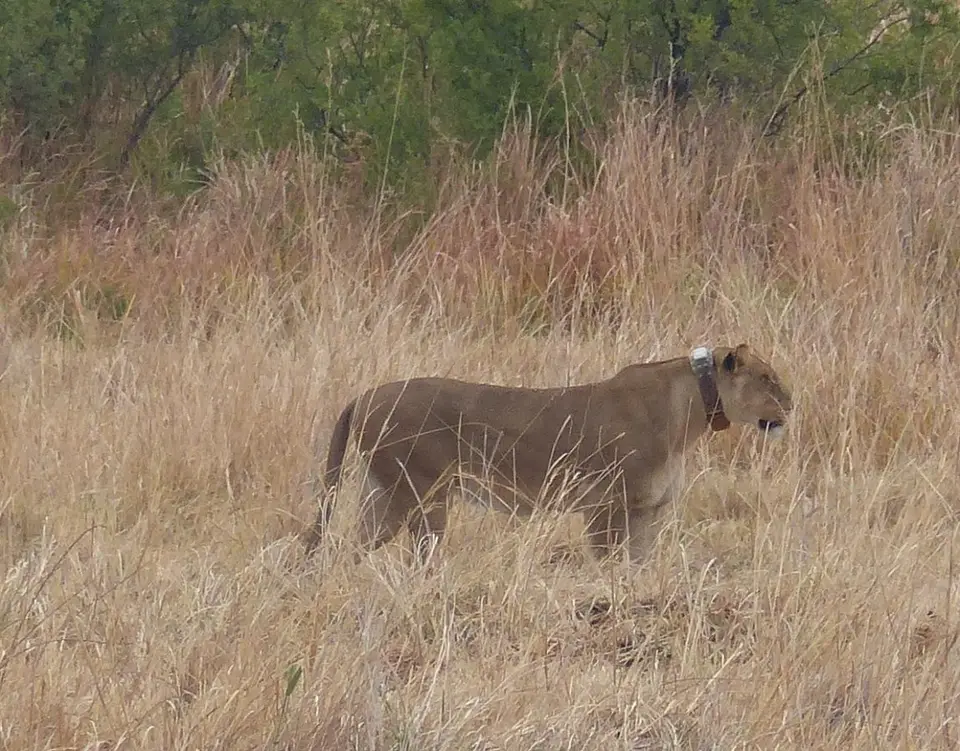 hf3beb04.jpg