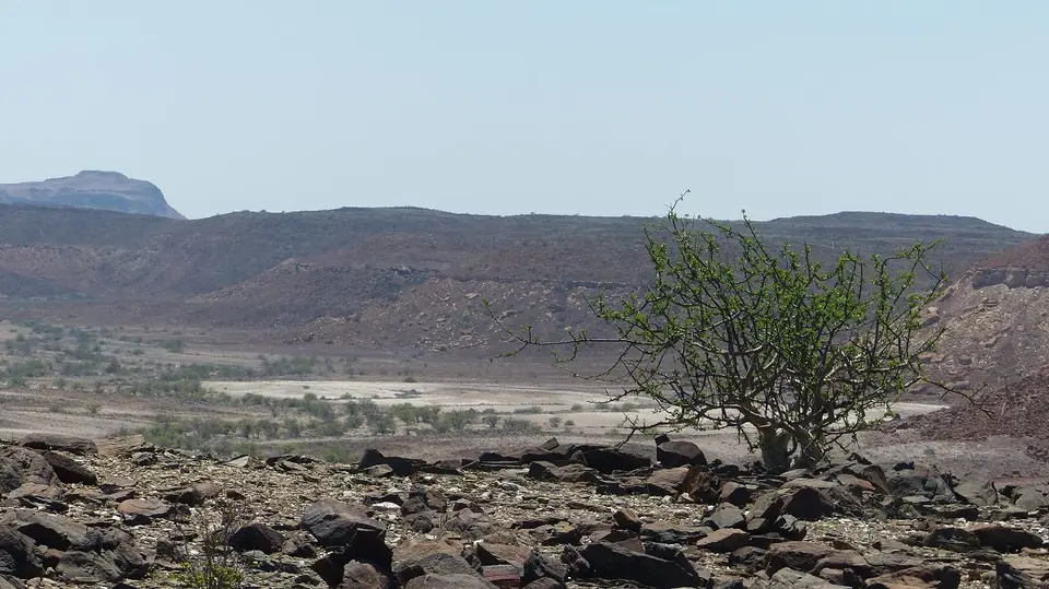 k-P1040914.JPG