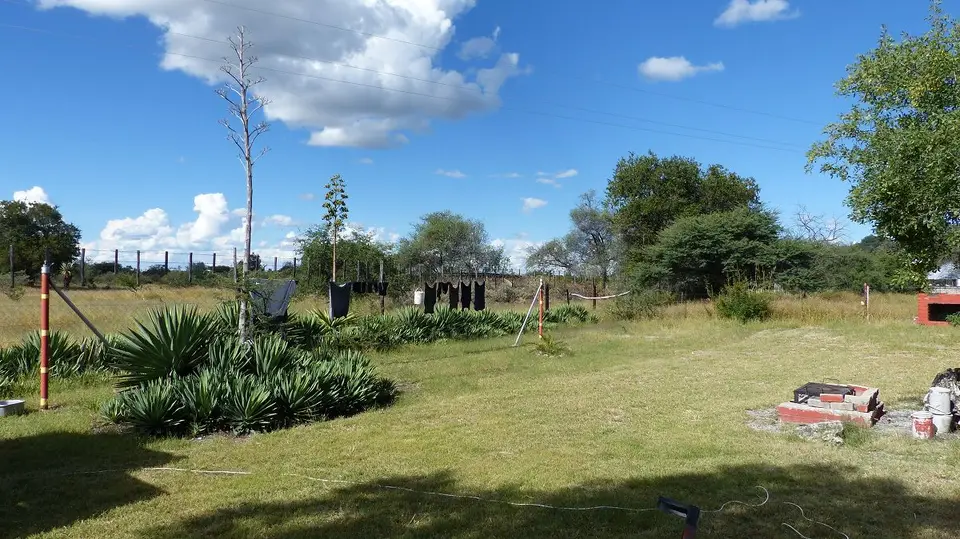 k-P1050191.JPG