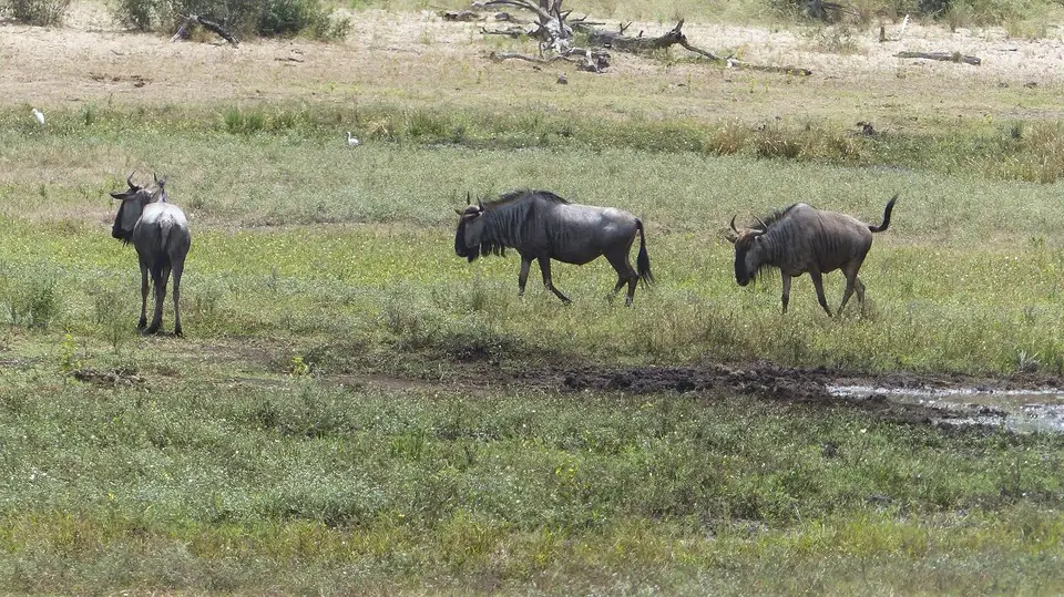 k-P1050287.JPG
