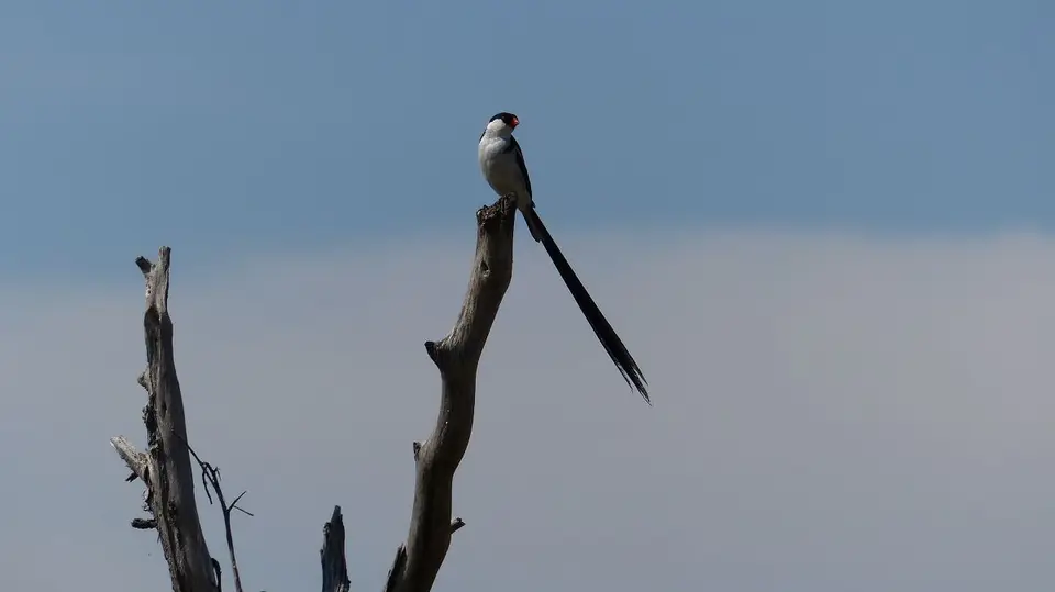 k-P1050452.JPG