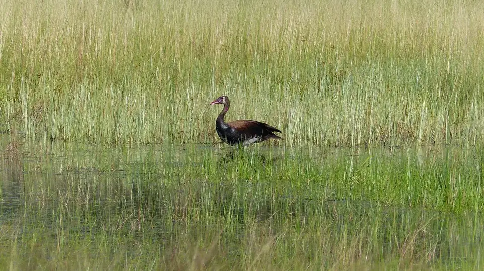k-P1050460.JPG