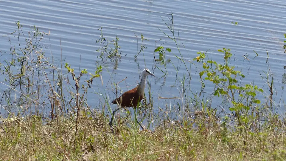 k-P1050642.JPG