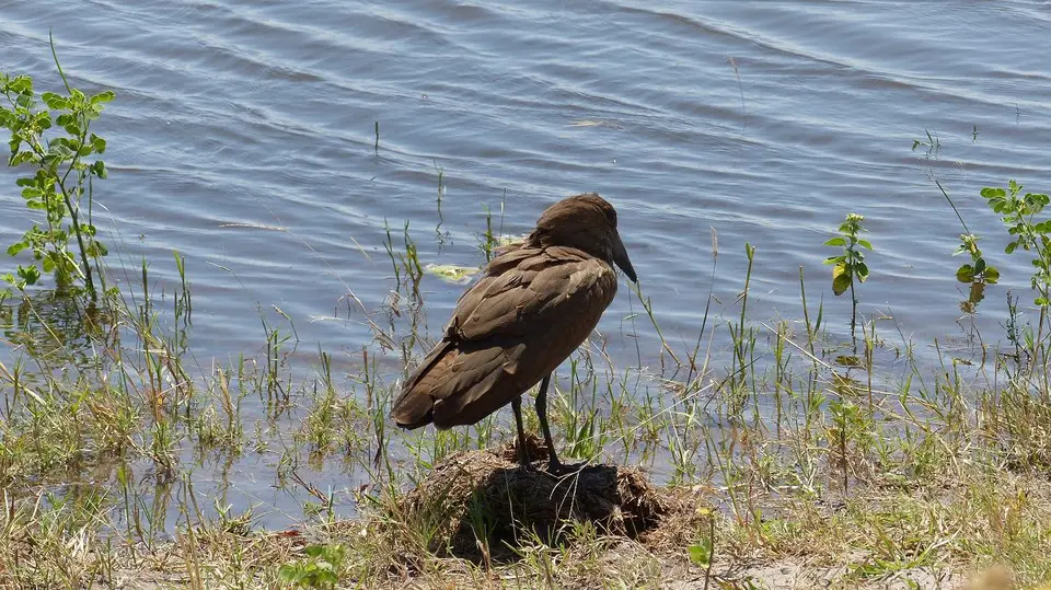 k-P1050666.JPG