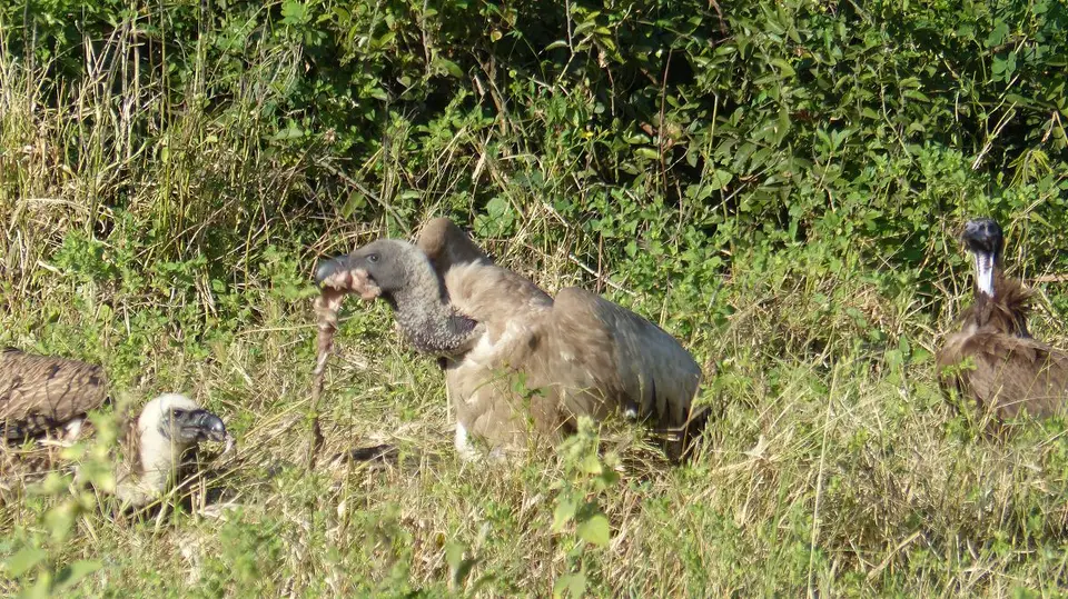 k-P1050798.JPG