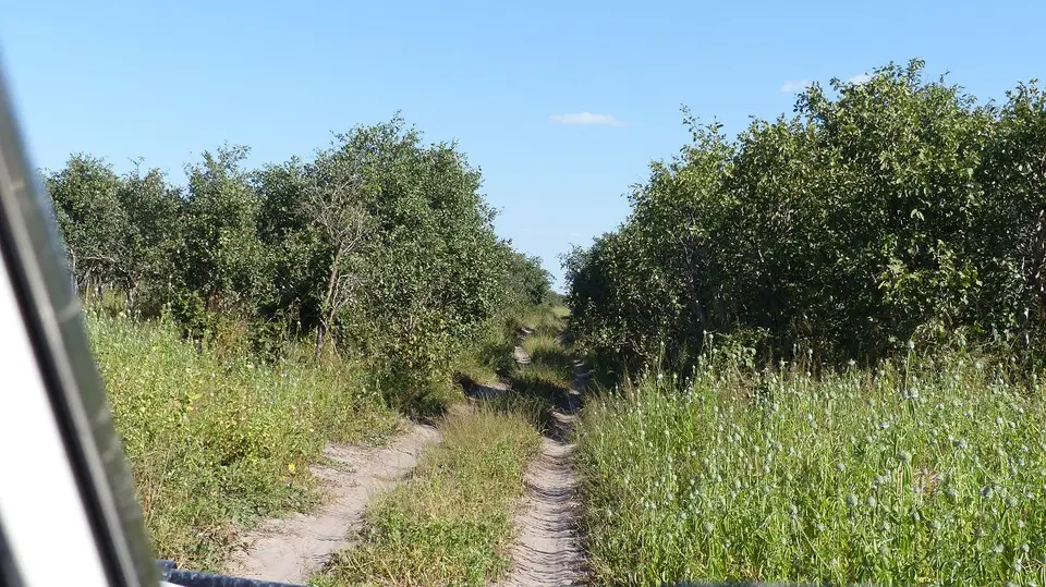 k-P1050823.JPG