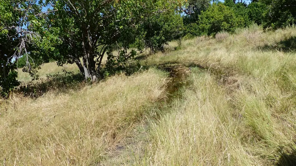 k-P1050876.JPG