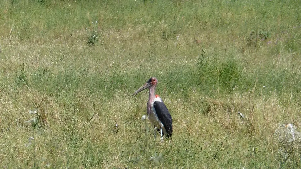 k-P1050932.JPG
