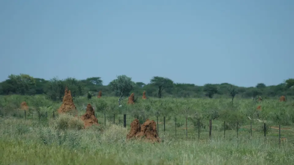 h3f0750e.JPG