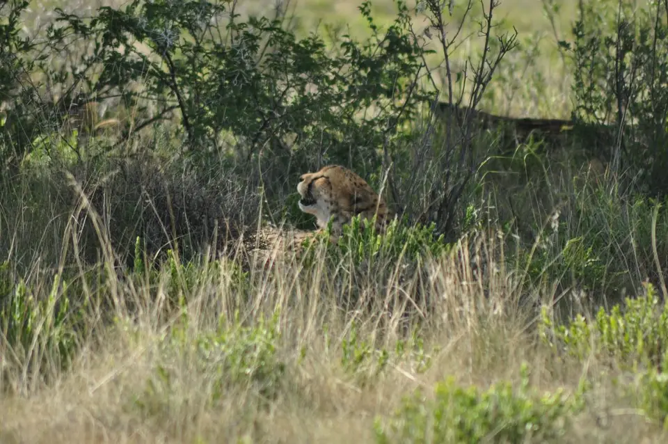 h432e4e4.JPG