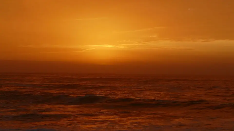 h7163fe9.JPG