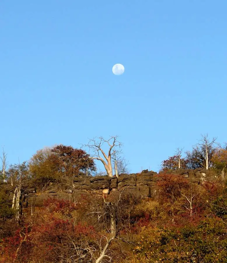 Rtsel_2012-09-29.jpg
