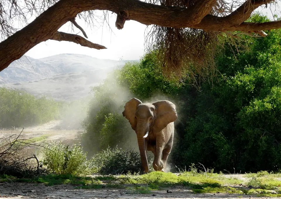 he6f40d5.JPG