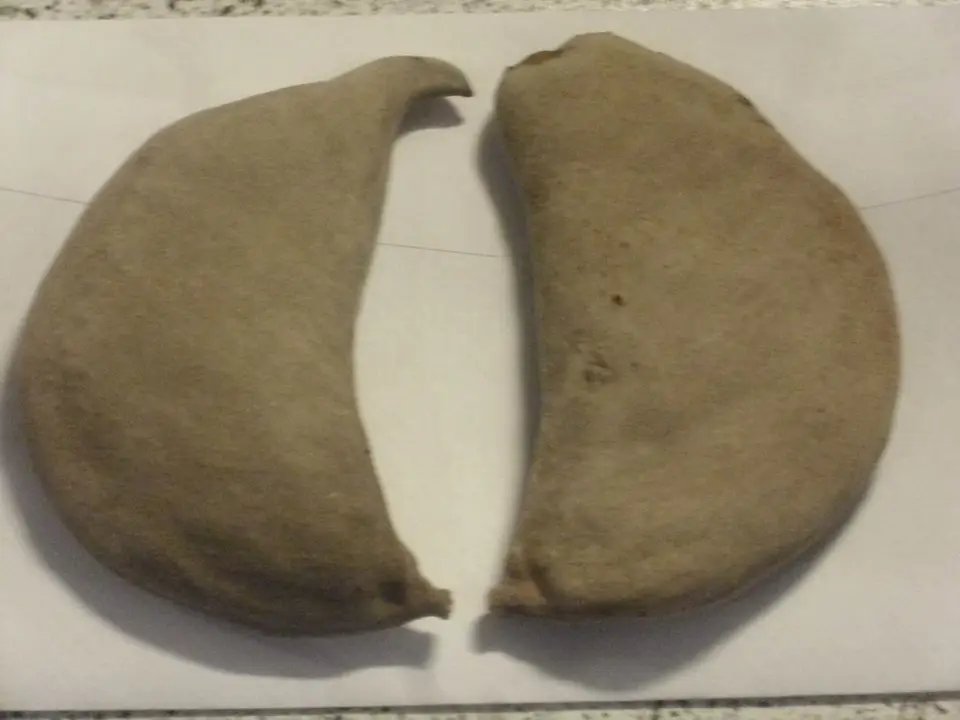 hc5f8947.JPG