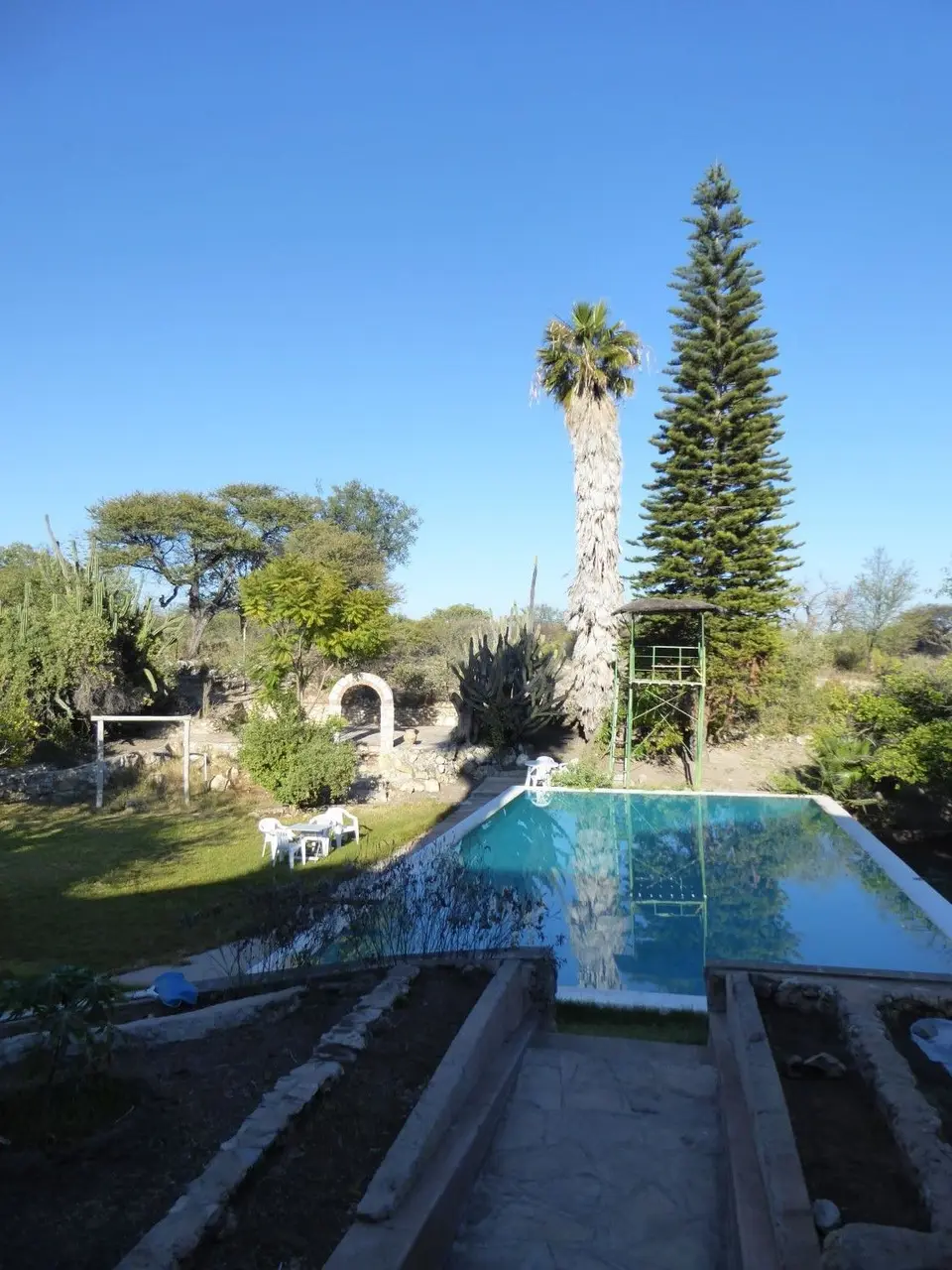 P1000829-2.JPG