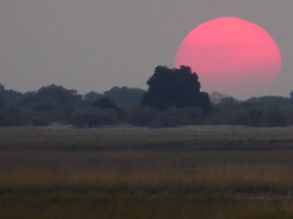 P1010441-2.JPG