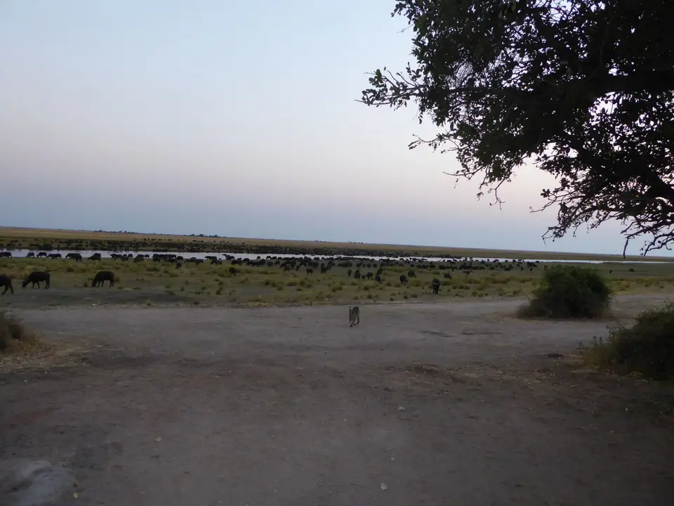 P1010451.JPG
