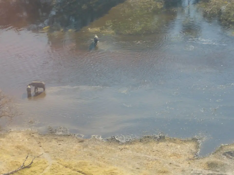 P1010844.JPG