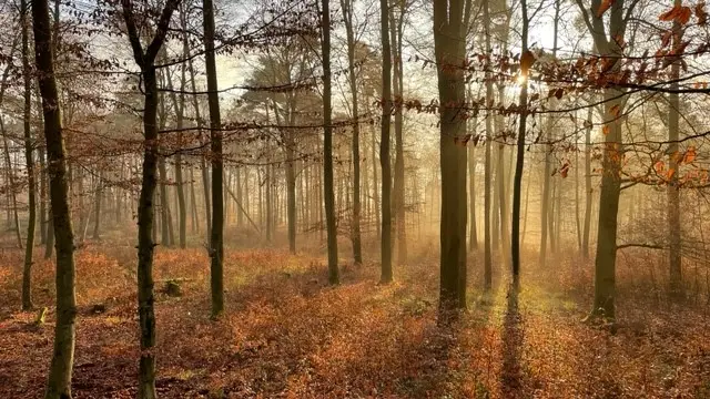 Sonnenaufgang.jpg