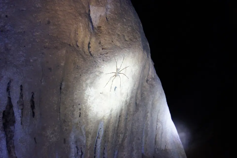 02010403-VangViengPhaThaoHöhle.JPG