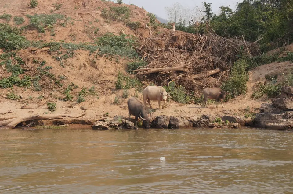 05861139-Mekong.JPG