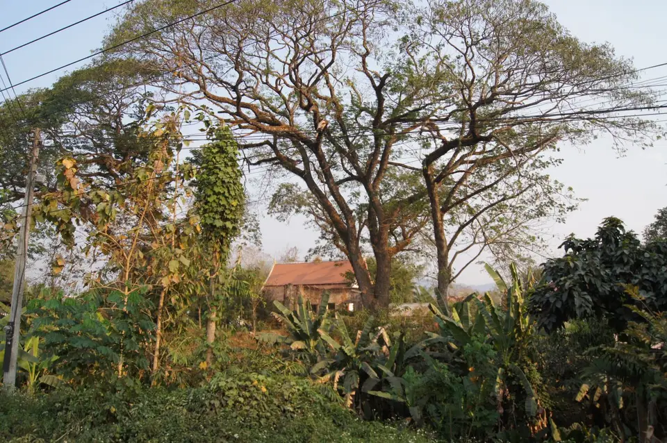 06841326-LuangPrabangWatPakhaXaingaram.JPG