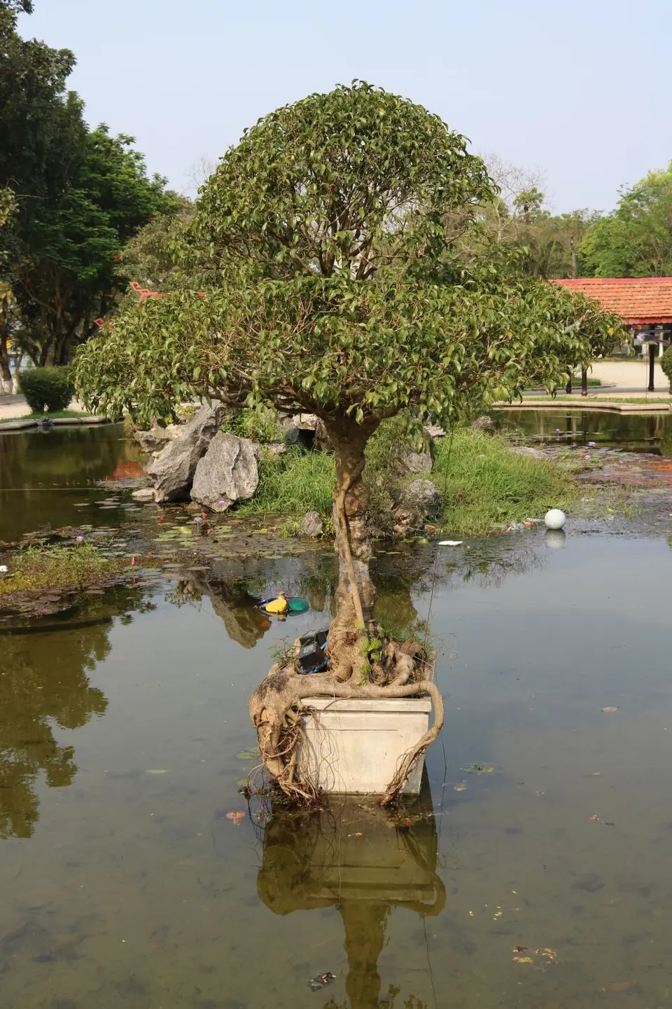 15522774-Hue.JPG