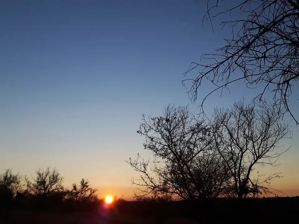 20190805_073348.jpg