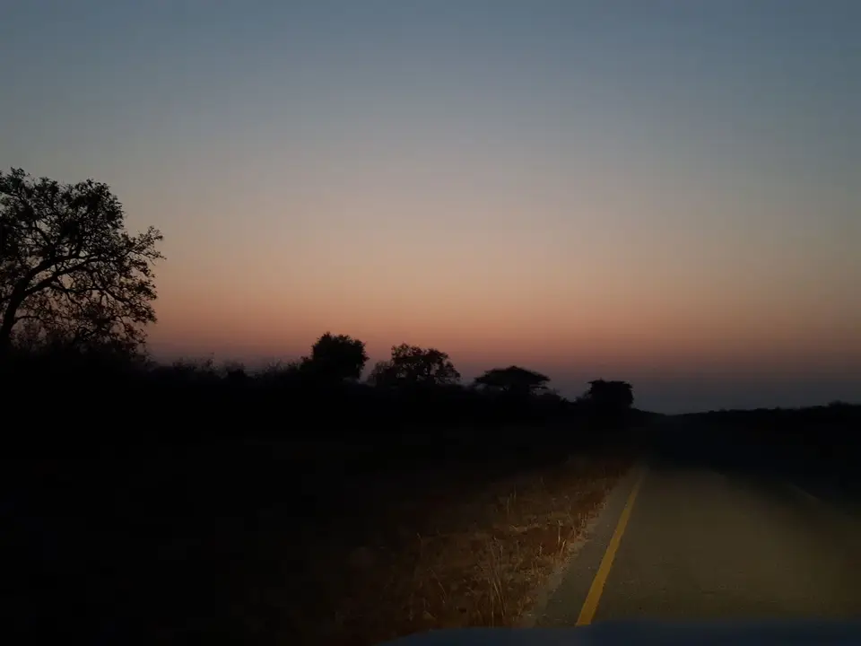 20190812_065613.jpg