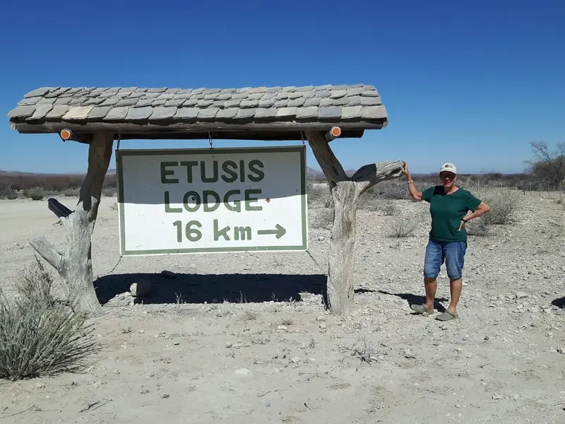 comp_20190805_141500.jpg