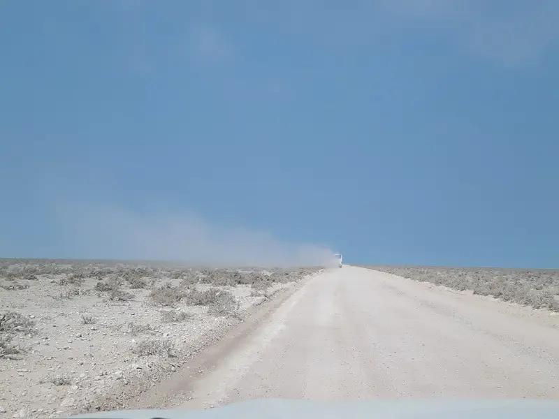 comp_20190808_142857.jpg