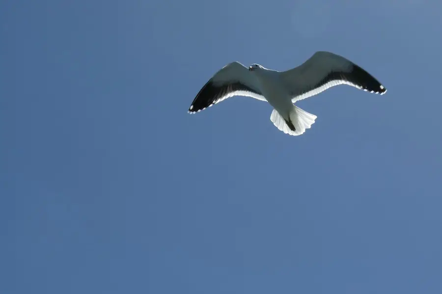 comp_IMG_7657.jpg