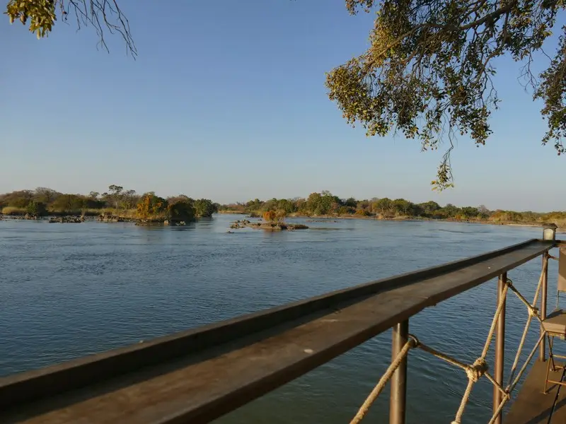 comp_P1110303.jpg