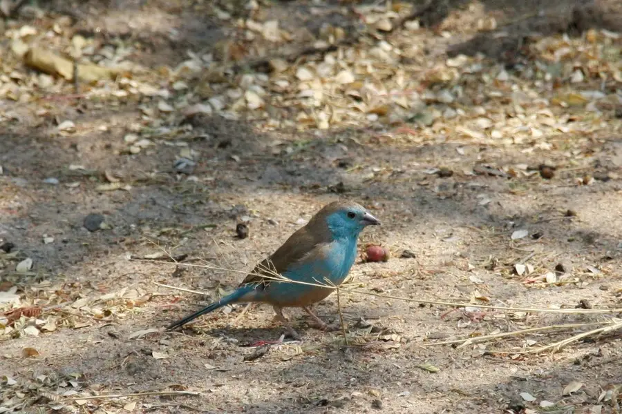comp__MG_3059-Kopie.jpg