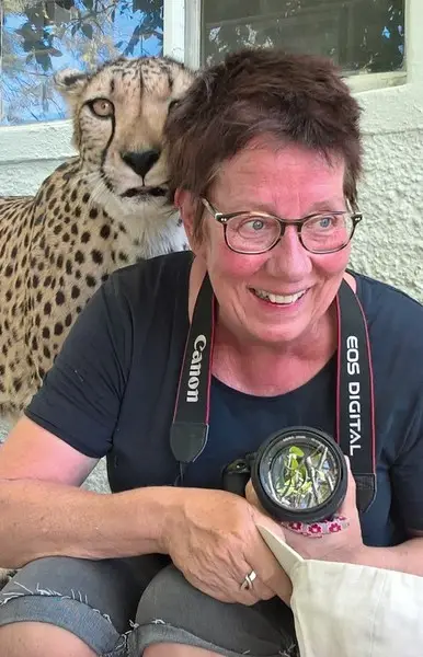 comp_cheetah.jpg