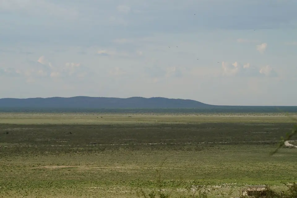 DSC00805.JPG