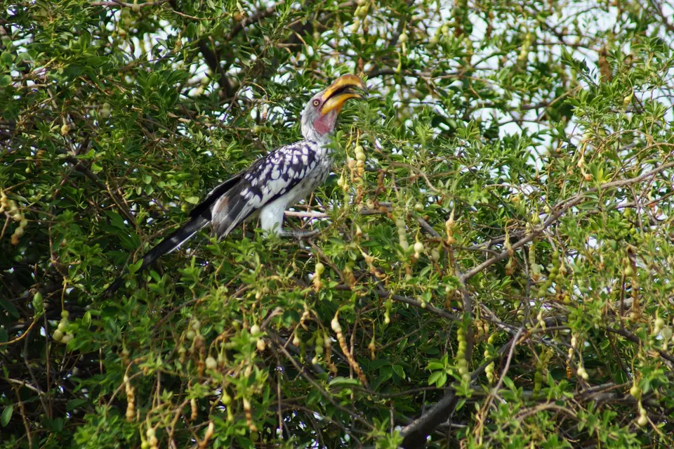 DSC00952.JPG
