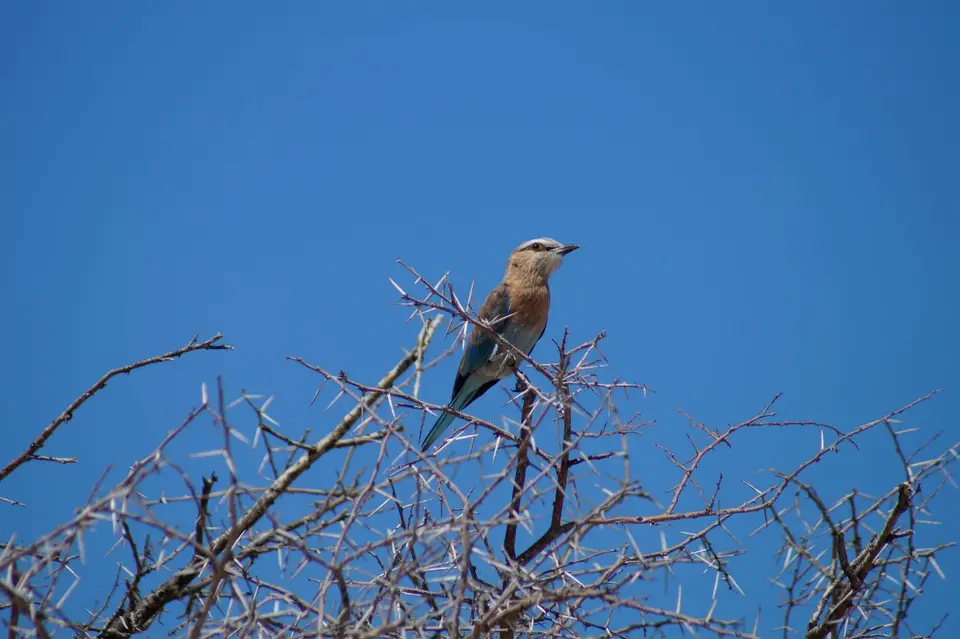 DSC01410.JPG