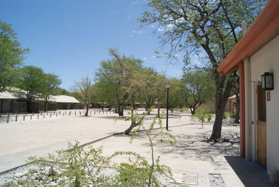 DSC05241.JPG